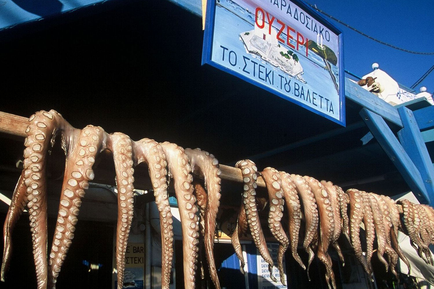 octopus griechenland naxos flisvos sportclub restaurant dinner essen urlaub